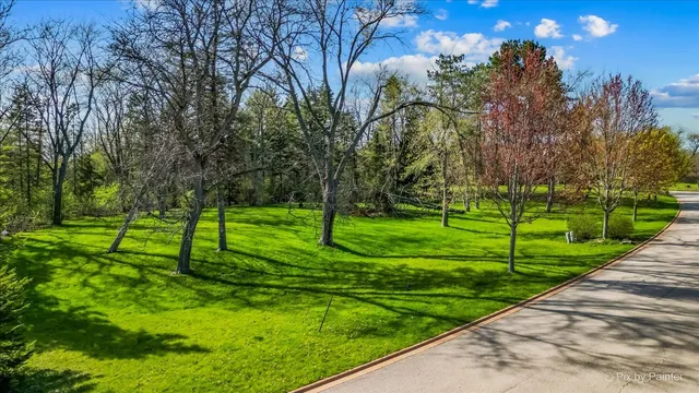 a view of a park with large trees