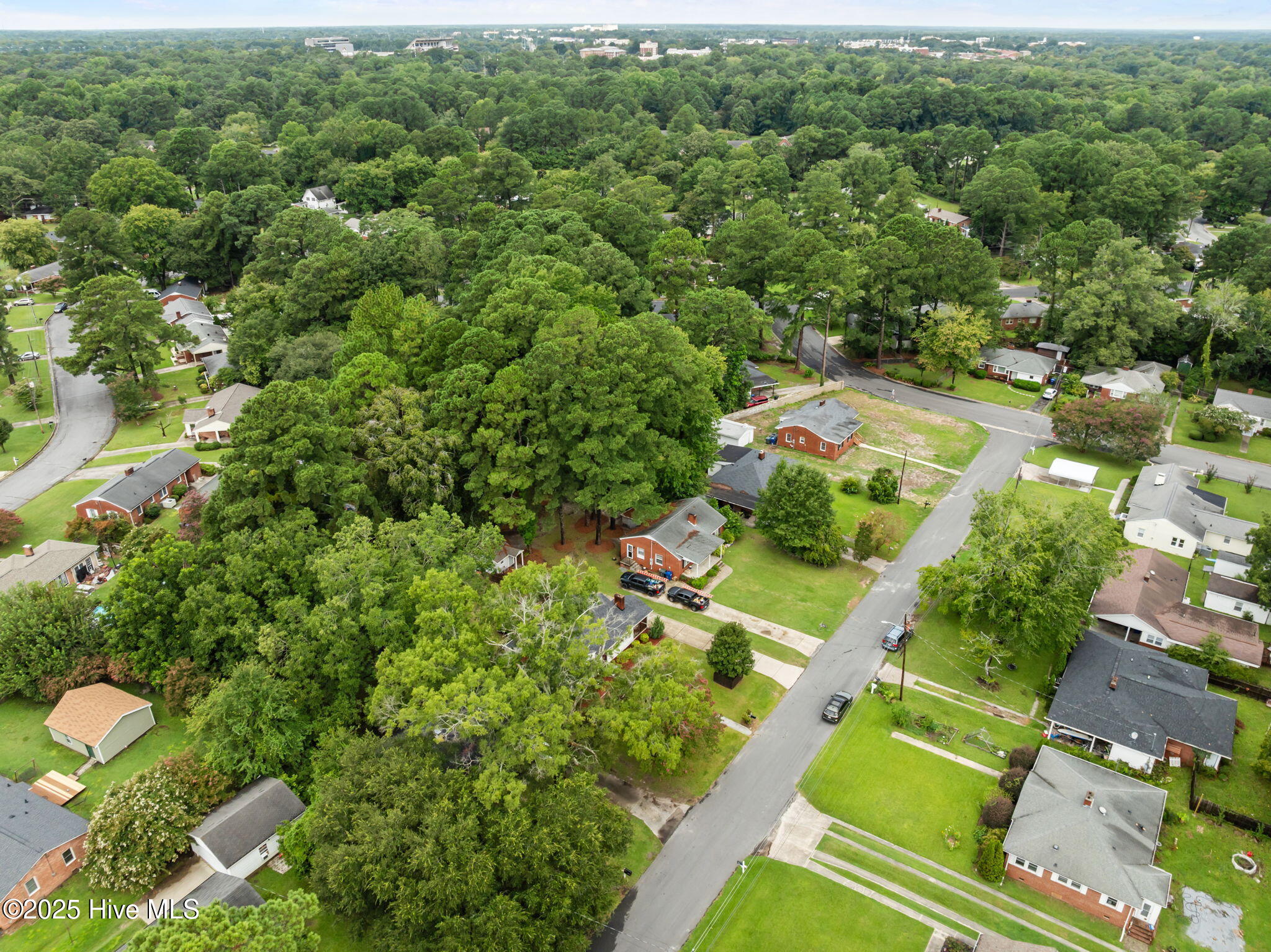 1306 Cotten Road Greenville, NC 27858 - Photo 38 of 41 41-web-or-mls-DJI_0196