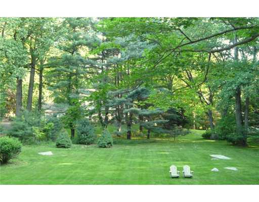 362 Mill Road Stamford, CT 06903 - Photo 19 of 20 a view of a grassy field with trees