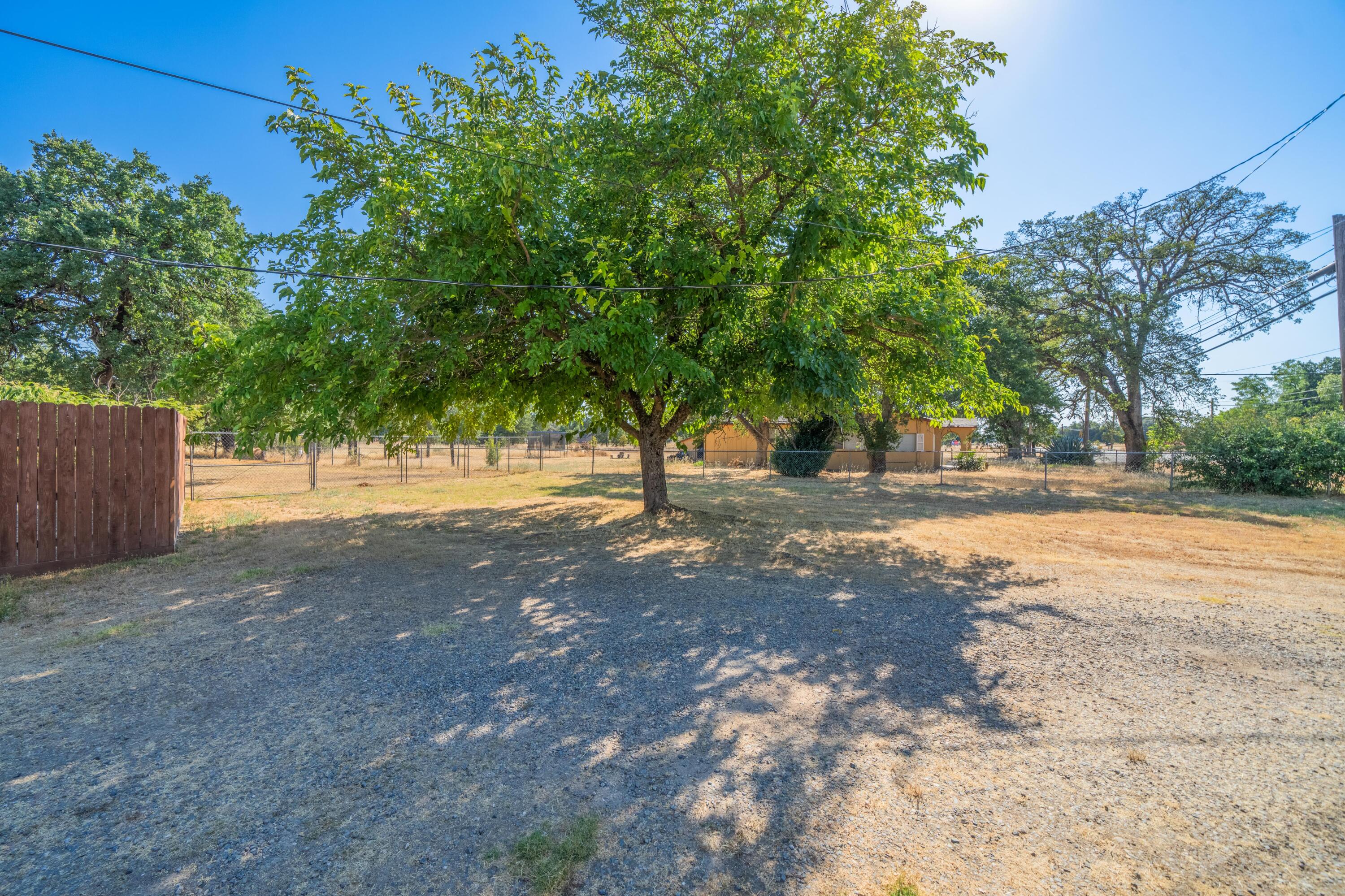 19825 Gas Point Road Cottonwood, CA 96022 - Photo 3 of 54 IMG-02