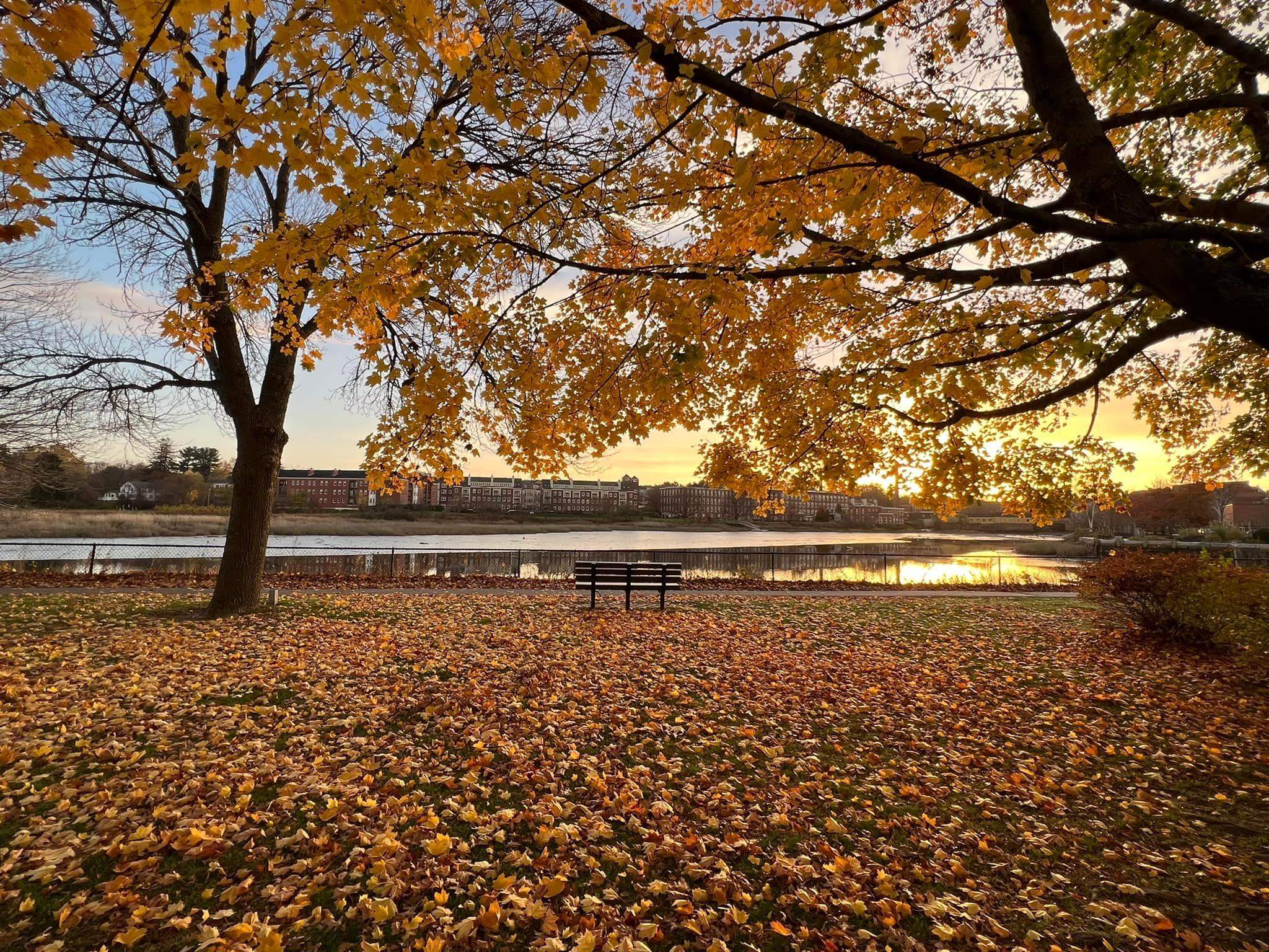32 Willey Creek Road, Unit 303 Exeter, NH 03833 - Photo 49 of 52