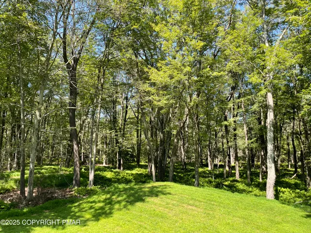 a backyard of a house with lots of green space and fountain