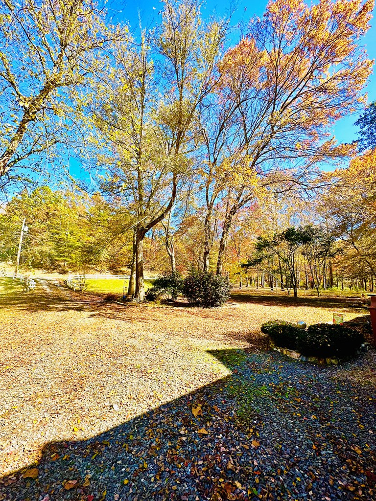 360 Preserve Road Murphy, NC 28906 - Photo 18 of 40 Front yard/drive