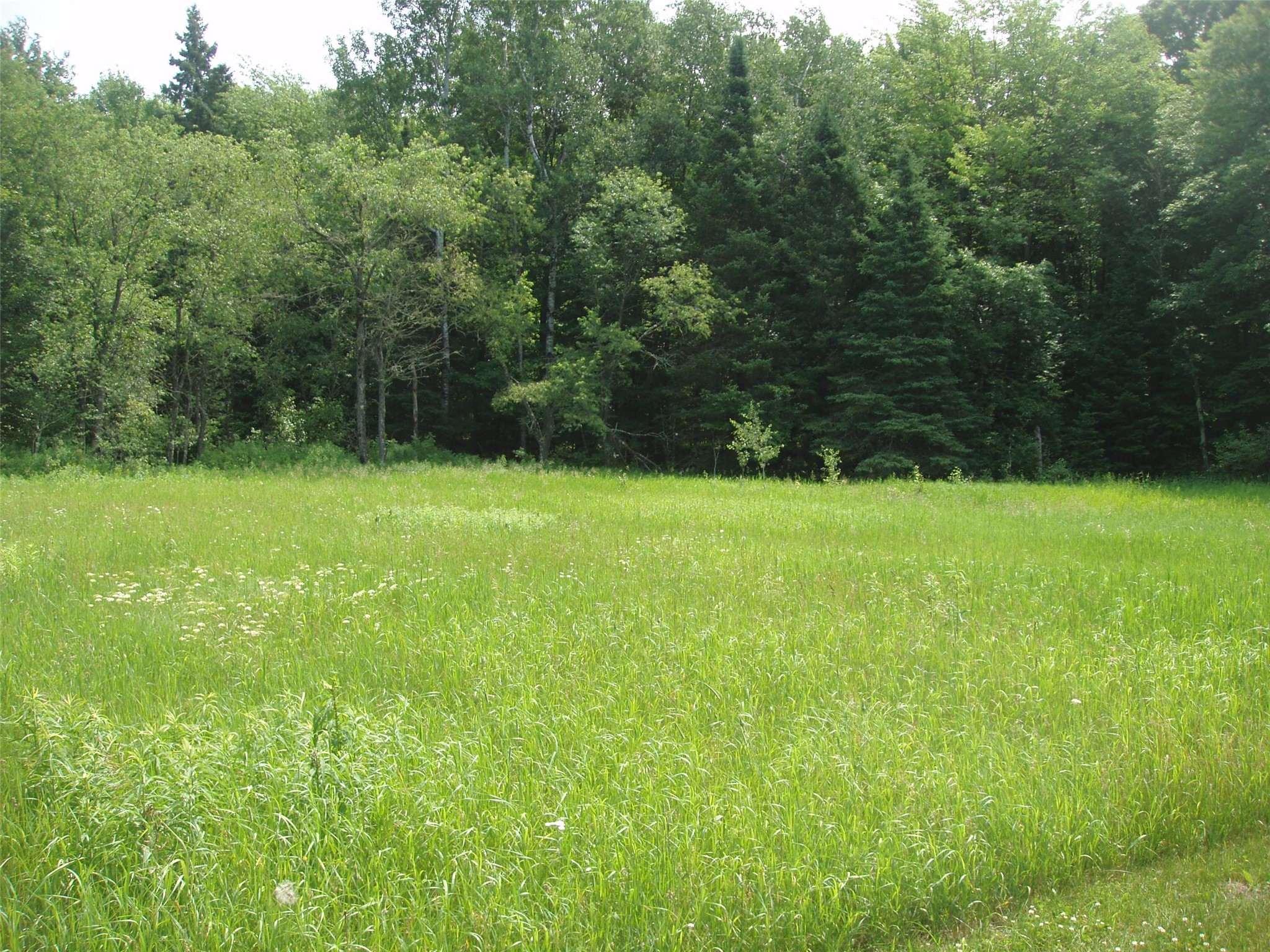 2460 County Hwy FF Butternut, WI 54514 - Photo 9 of 34