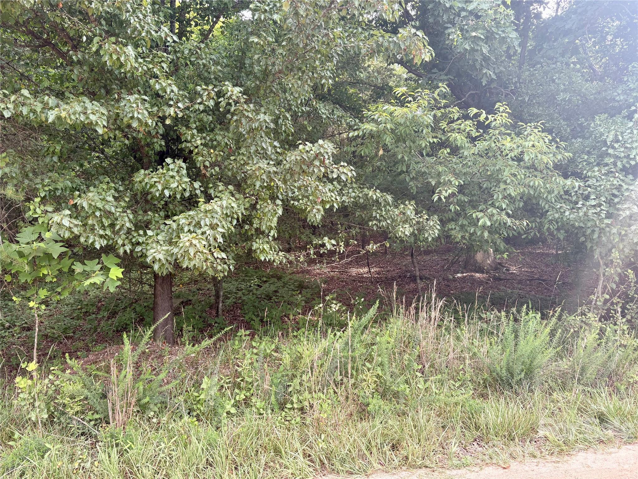 0 Clearwater Road Shelby, NC 28152 - Photo 7 of 20