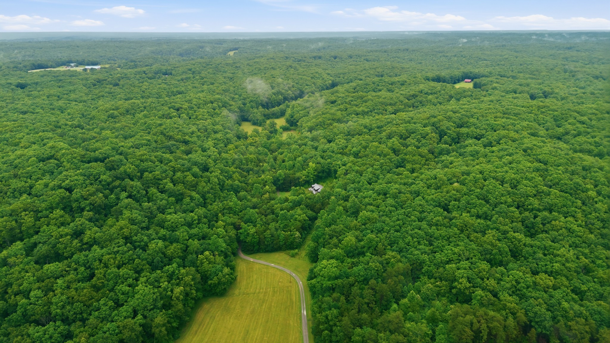 7075 Pinewood Road Nunnelly, TN 37137 - Photo 8 of 49 a view of a field with an ocean view