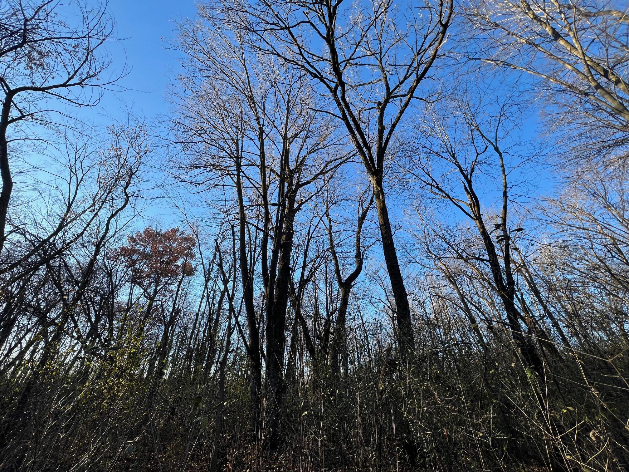 Tbd Glendorado Road Northeast Foley, MN 56329 - Photo 15 of 18