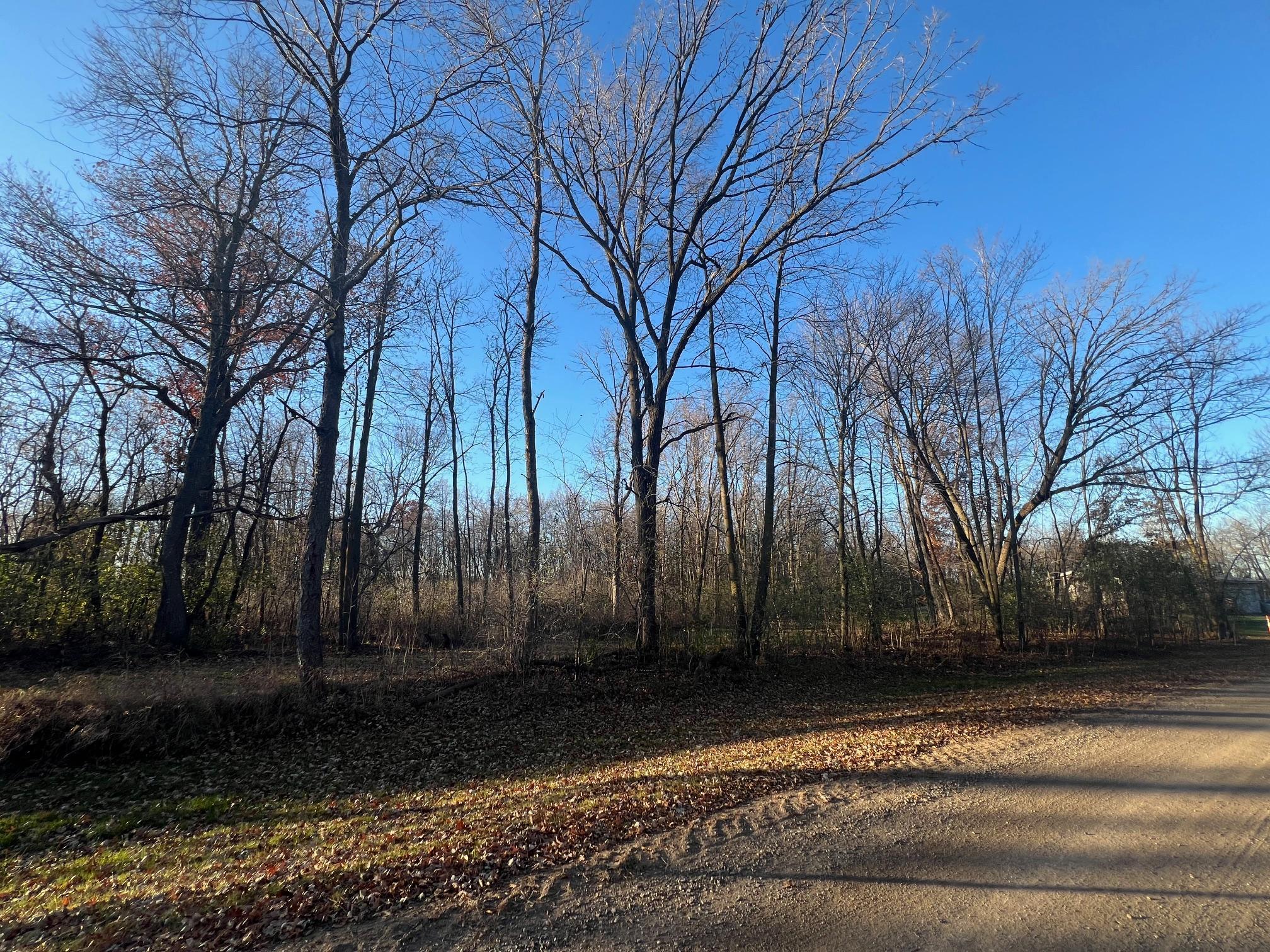 Tbd Glendorado Road Northeast Foley, MN 56329 - Photo 16 of 18