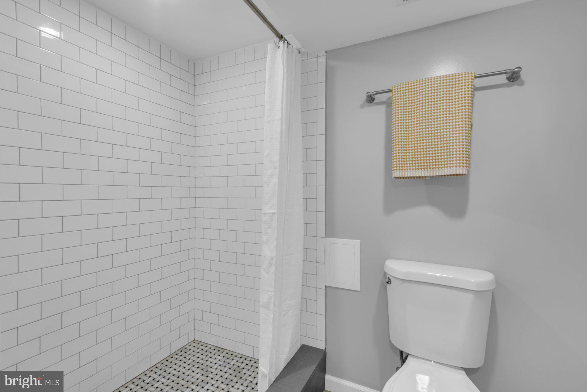955 Hilltop Road Arnold, MD 21012 - Photo 41 of 56 Mosaic-Tiled Enclosed Shower