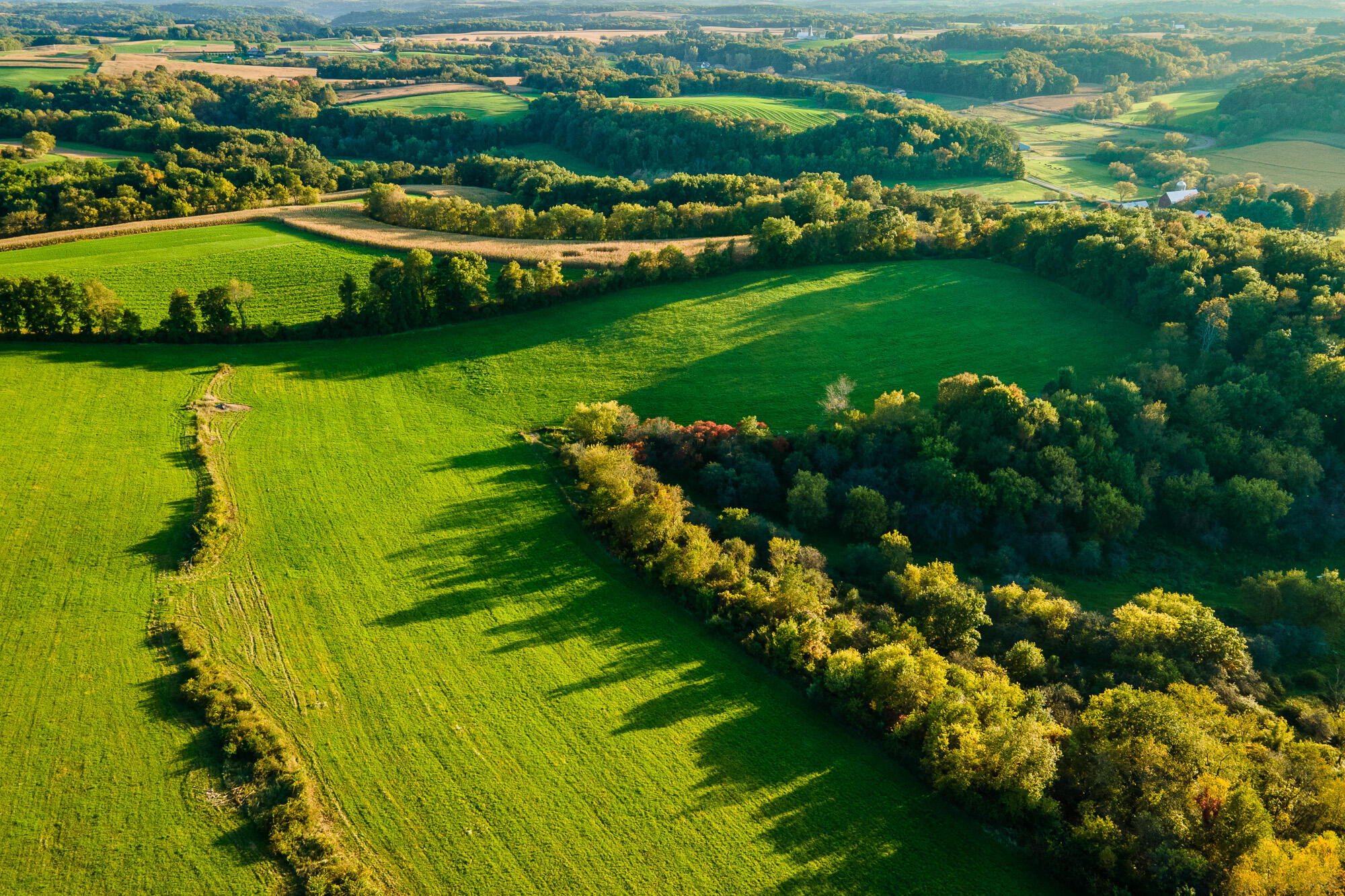 Lt1 Eli Valley Road Loganville, WI 53943 - Photo 1 of 49 Sauk-County-WI-68-Acres