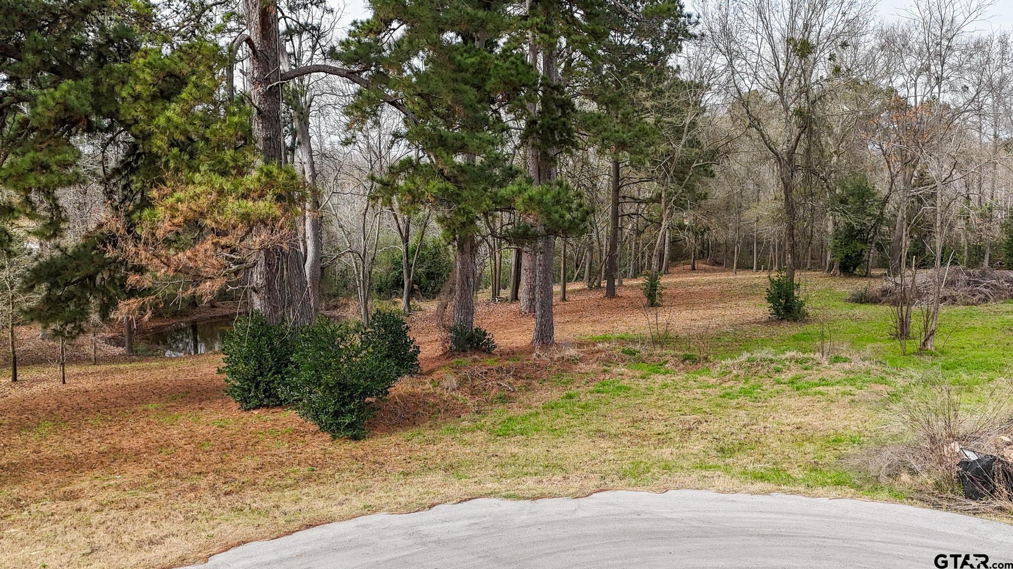 Tbd Tbd Castleberry Road Brownsboro, TX 75756 - Photo 4 of 8 a view of a yard with trees