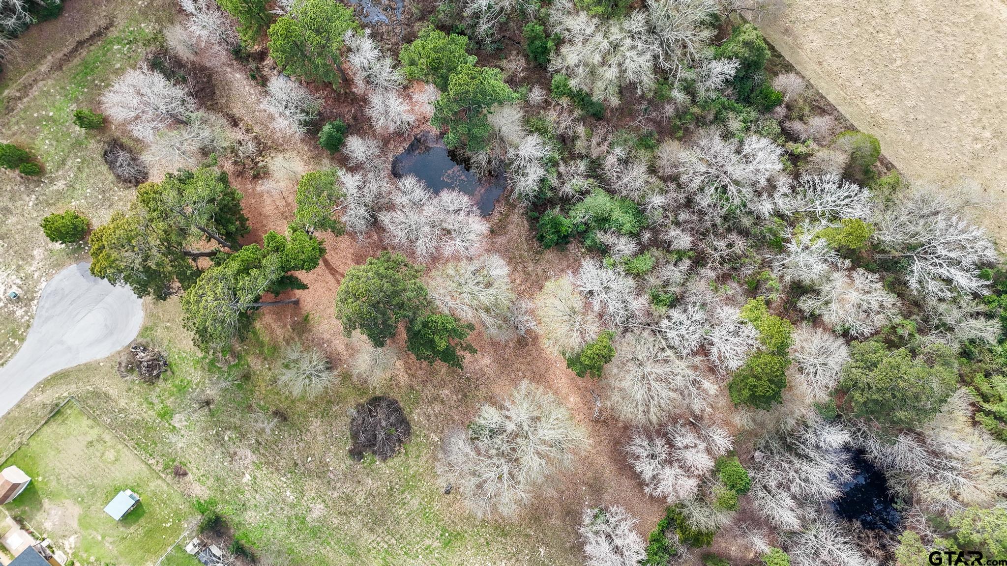Tbd Tbd Castleberry Road Brownsboro, TX 75756 - Photo 5 of 8 a view of a yard with plants