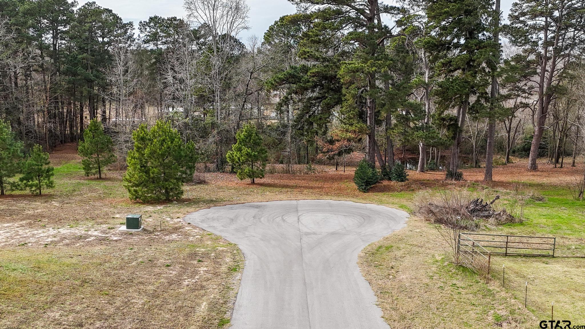 Tbd Tbd Castleberry Road Brownsboro, TX 75756 - Photo 6 of 8 a view of a yard with plants and trees