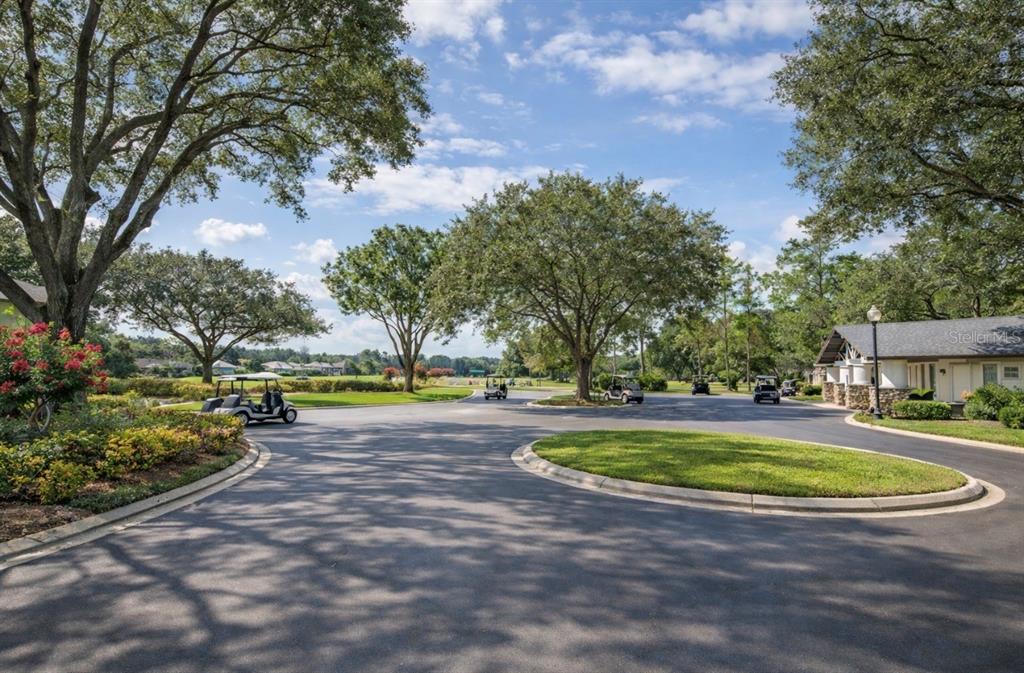 4909 Willow Ridge Terrace Valrico, FL 33596 - Photo 50 of 55