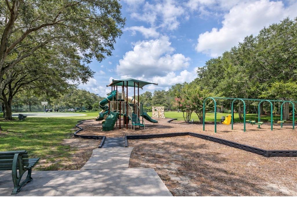 4909 Willow Ridge Terrace Valrico, FL 33596 - Photo 53 of 55