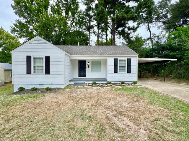 a backyard of a house with potted plants and large tree