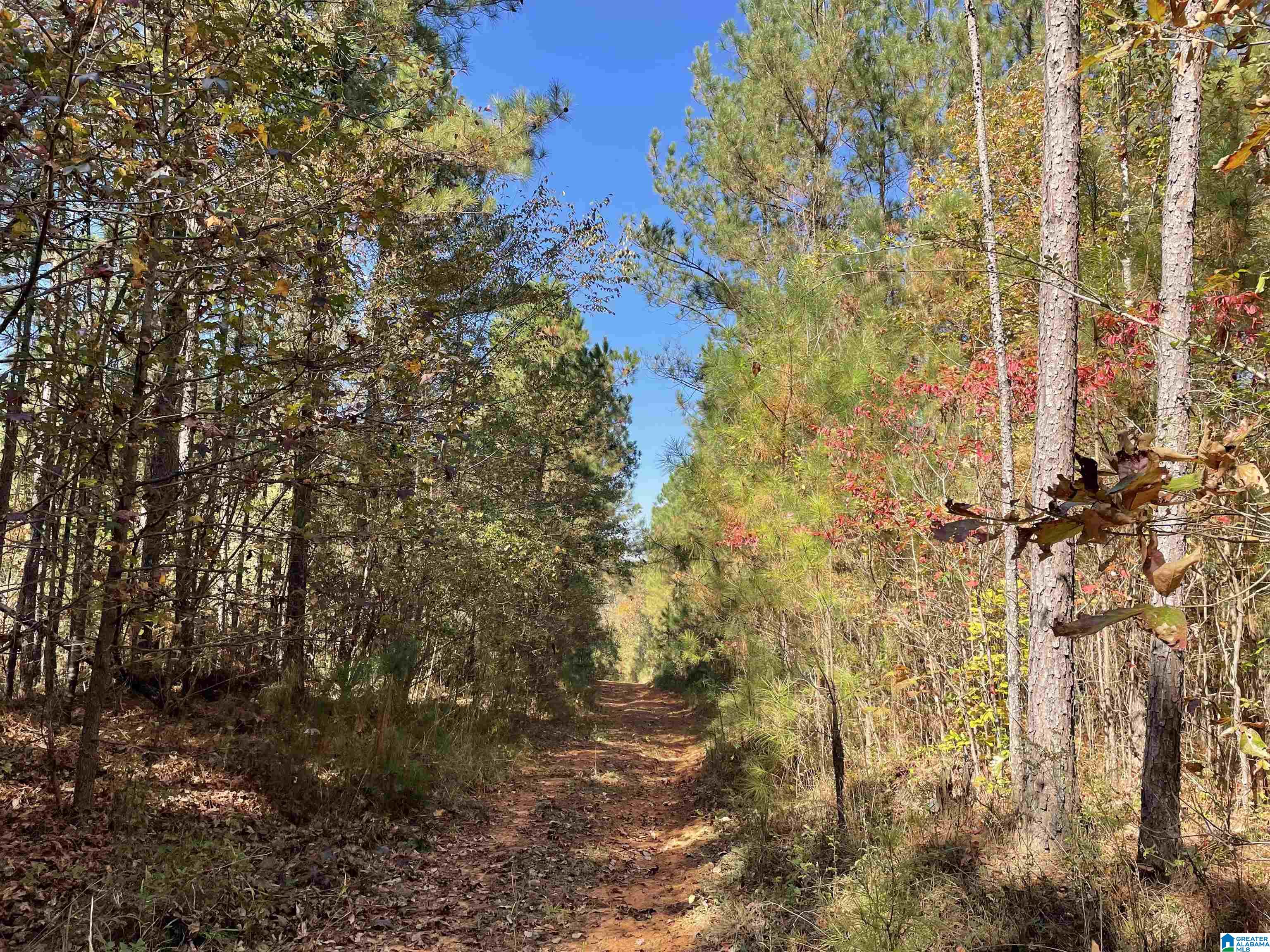 8760 Marsh Mountain Road, Unit 223 Pinson, AL 35126 - Photo 11 of 51