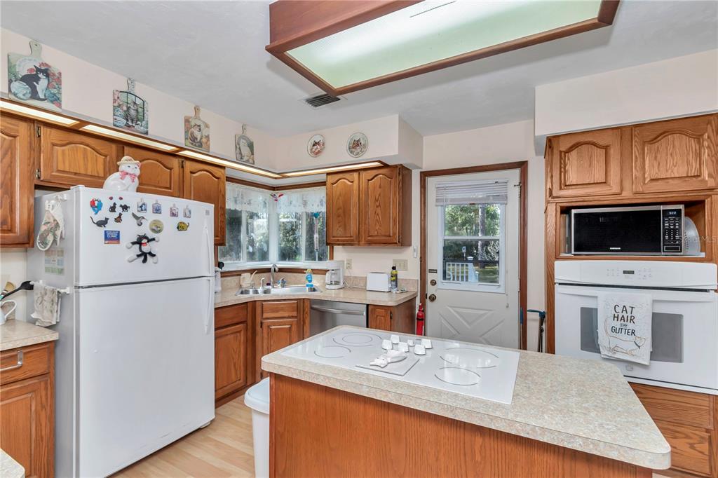 18012 Southwest 68th Loop Dunnellon, FL 34432 - Photo 22 of 55