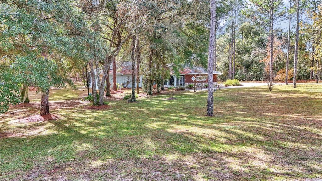 18012 Southwest 68th Loop Dunnellon, FL 34432 - Photo 3 of 55