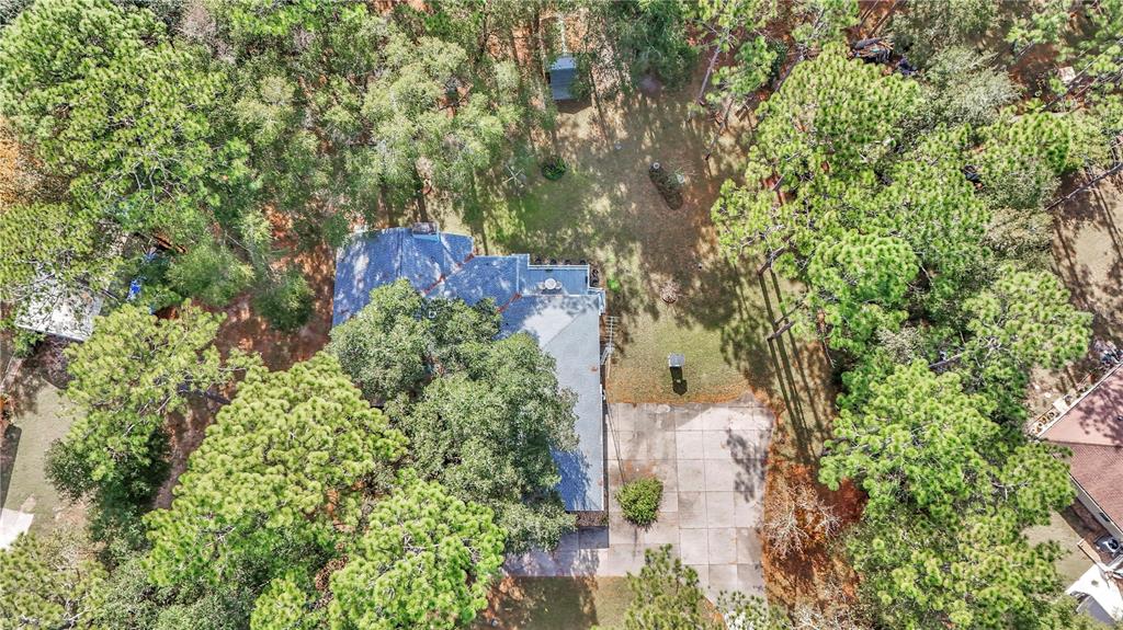 18012 Southwest 68th Loop Dunnellon, FL 34432 - Photo 43 of 55