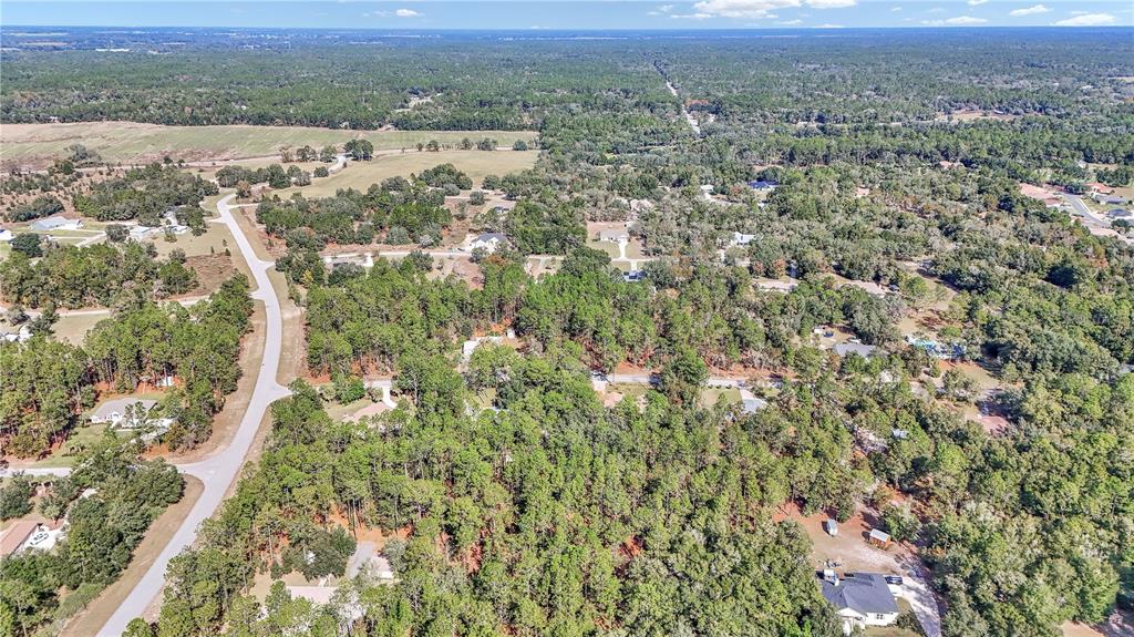 18012 Southwest 68th Loop Dunnellon, FL 34432 - Photo 44 of 55