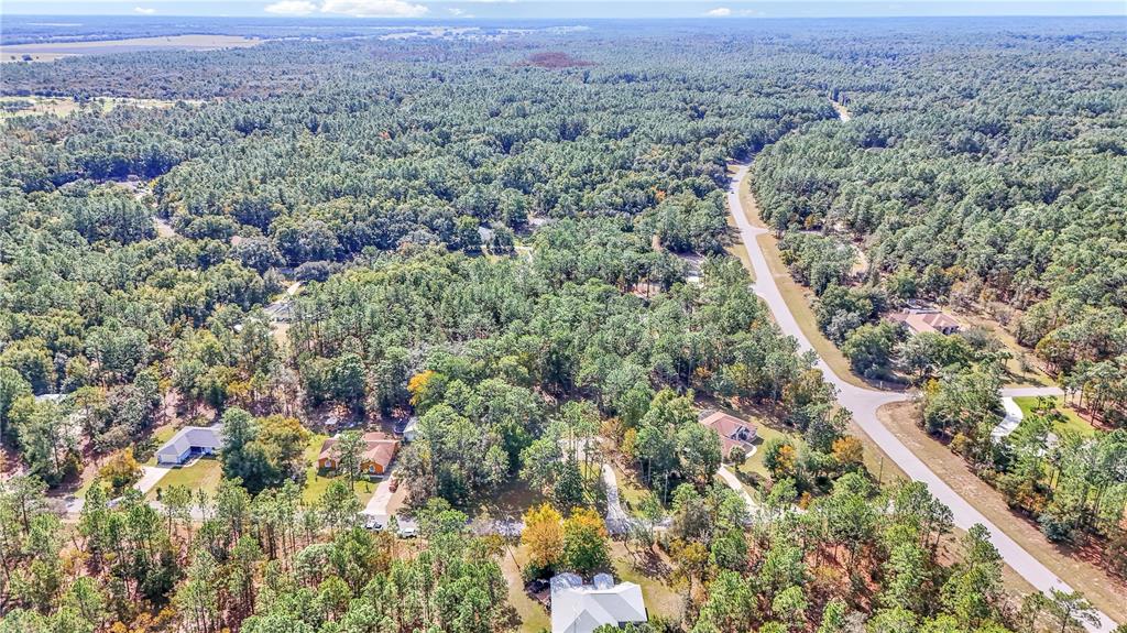 18012 Southwest 68th Loop Dunnellon, FL 34432 - Photo 45 of 55