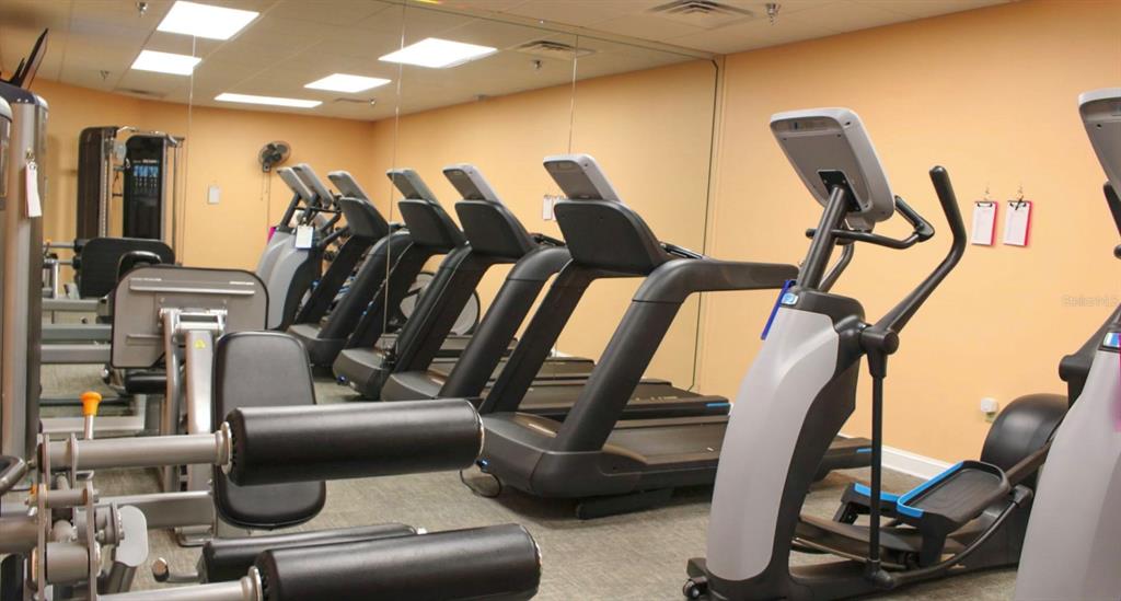 18012 Southwest 68th Loop Dunnellon, FL 34432 - Photo 54 of 55