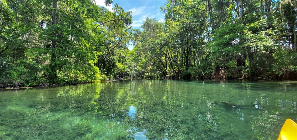 18012 Southwest 68th Loop Dunnellon, FL 34432 - Photo 59 of 60 a view of a lake with a big yard