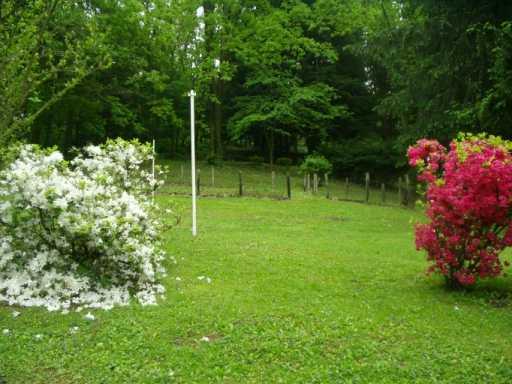 Yard/Garden. 