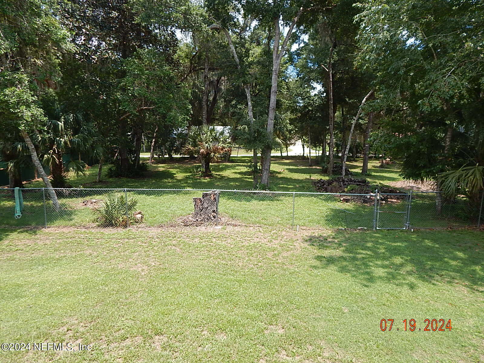 116 River Road Satsuma, FL 32189 - Photo 12 of 43 Back yard showing 2 back lots on Gibbs S