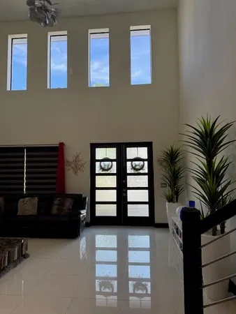 a living room with furniture and a potted plant
