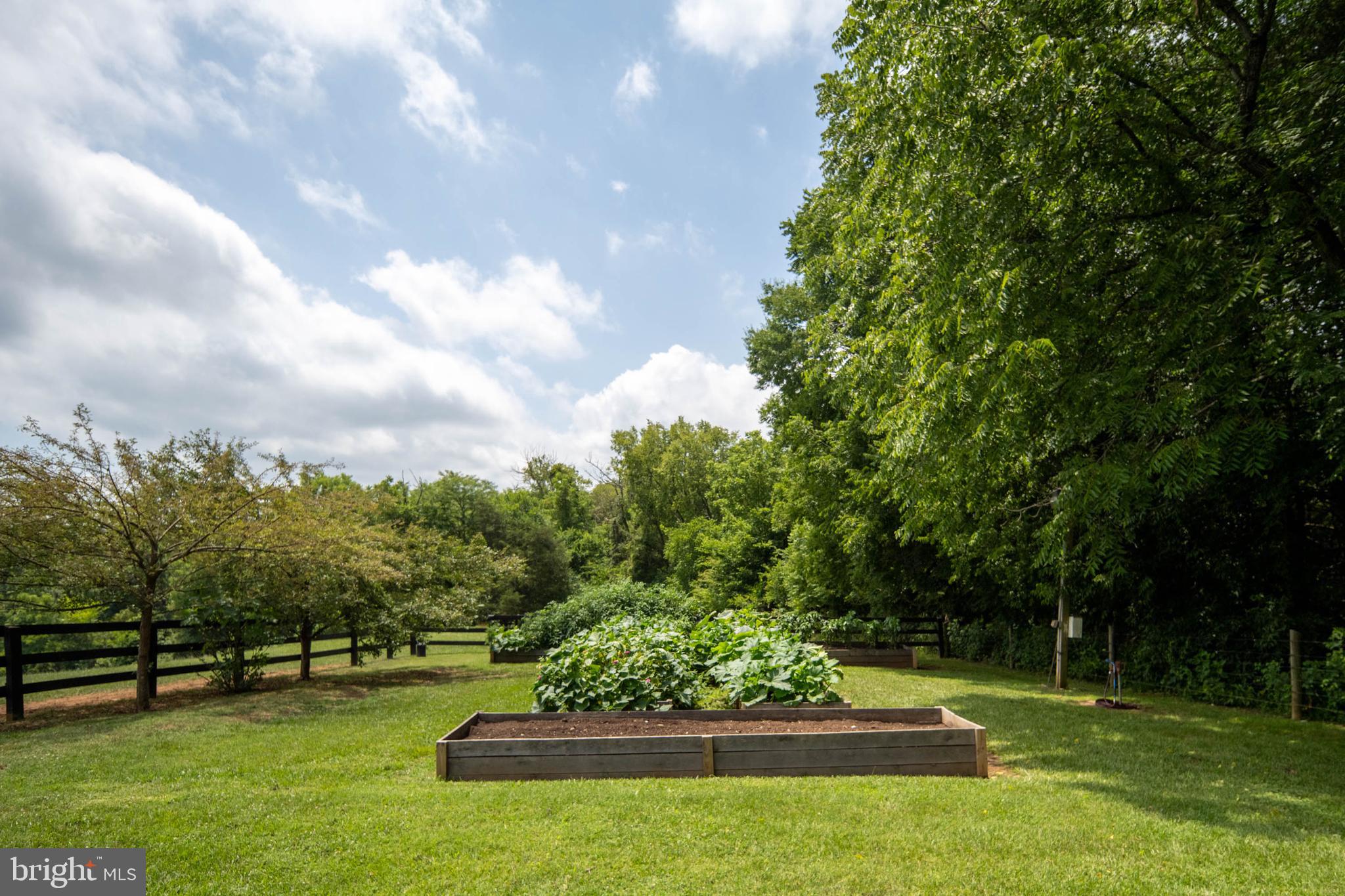 24050 Lahore Road Orange, VA 22960 - Photo 88 of 127 Gallery Image 88