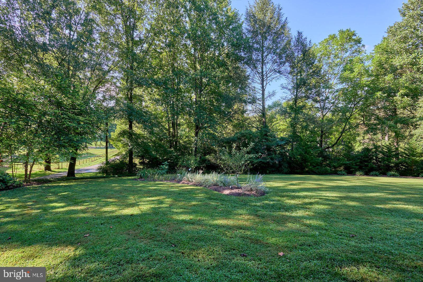 31 Haviland Mill Road Brinklow, MD 20862 - Photo 33 of 114