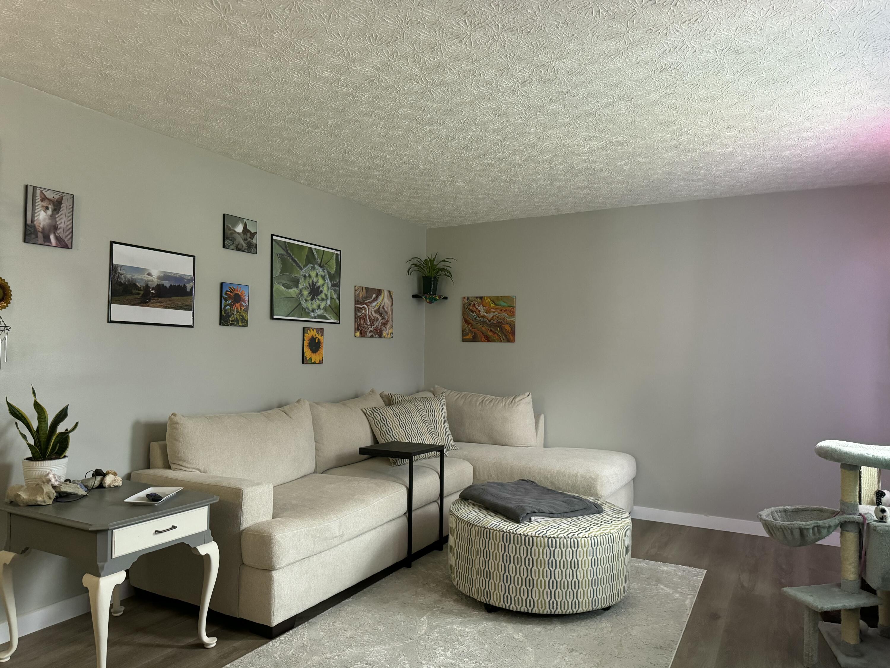 4190 Trapp-Goffs Cor Road Winchester, KY 40391 - Photo 20 of 21 living room
