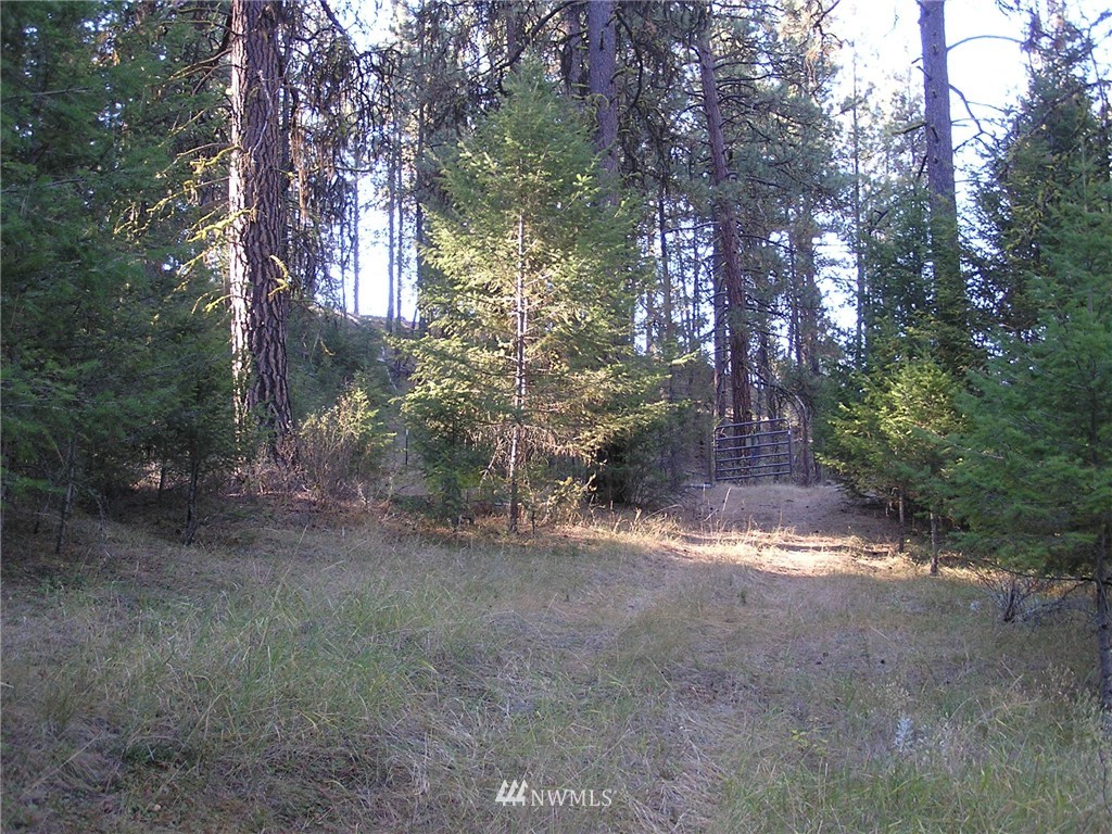 18 Neil Canyon Road Tonasket, WA 98855 - Photo 19 of 25