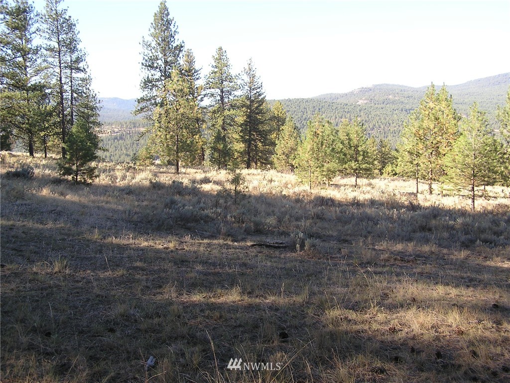 18 Neil Canyon Road Tonasket, WA 98855 - Photo 21 of 25