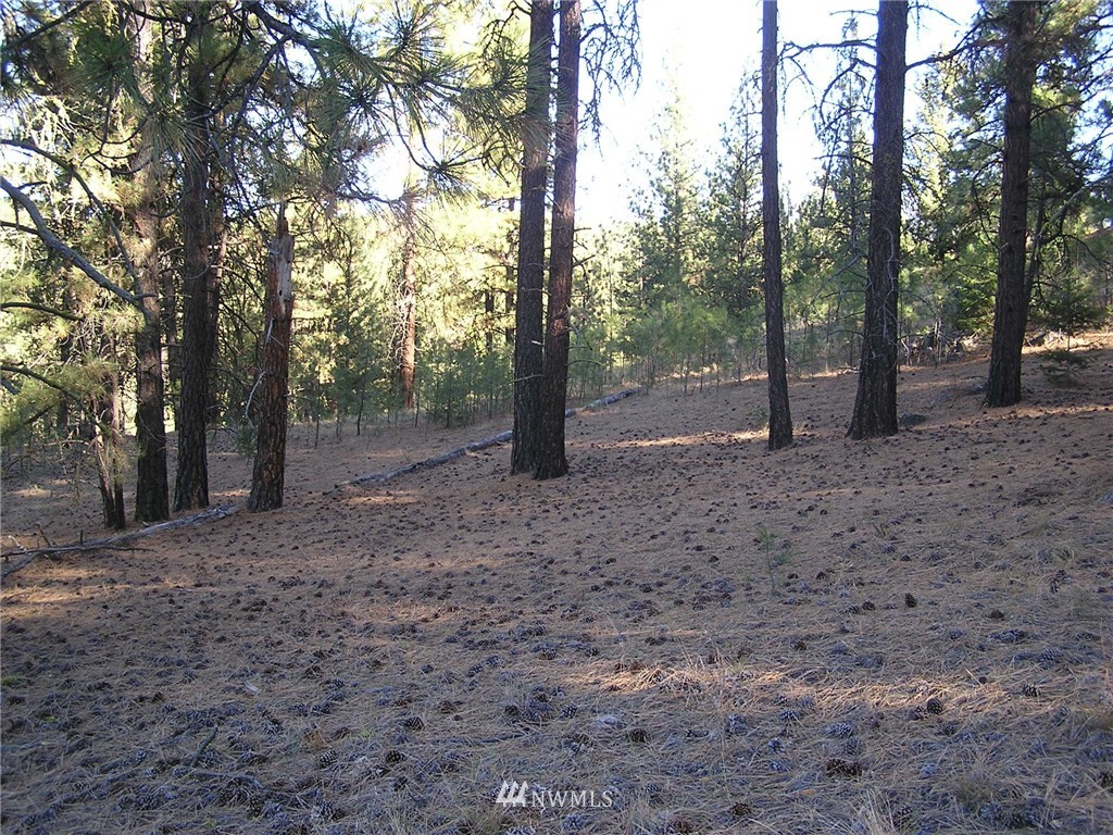 18 Neil Canyon Road Tonasket, WA 98855 - Photo 22 of 25