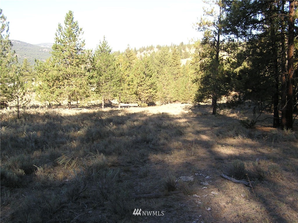 18 Neil Canyon Road Tonasket, WA 98855 - Photo 23 of 25
