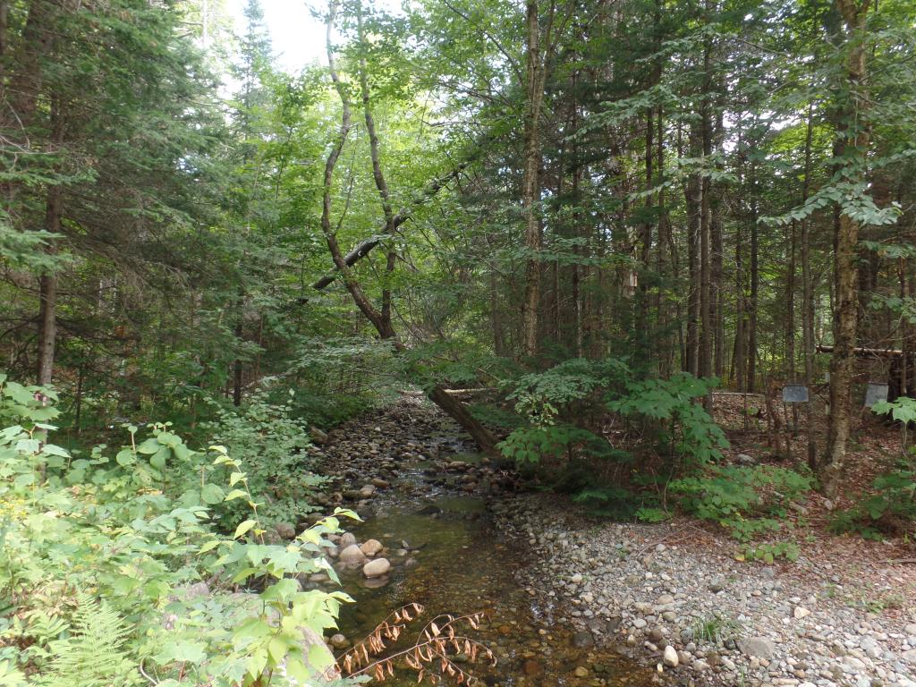 1746 Success Pond Road Gorham, NH 03581 - Photo 23 of 27 Gallery Image 23