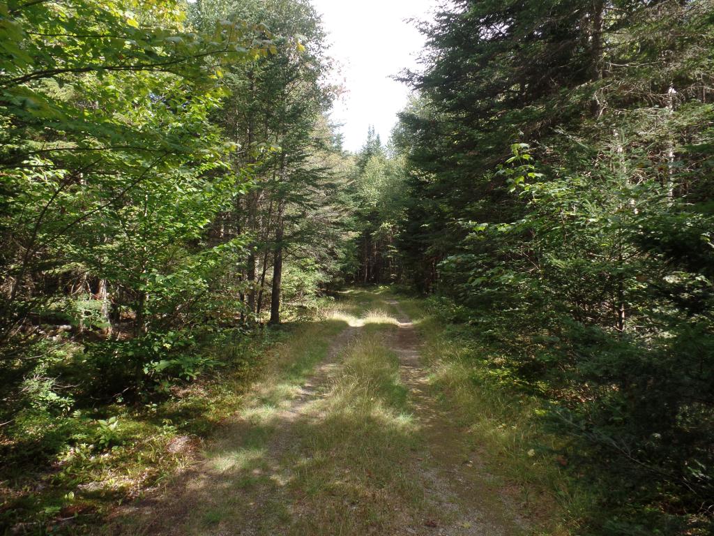 1746 Success Pond Road Gorham, NH 03581 - Photo 25 of 27 Gallery Image 25