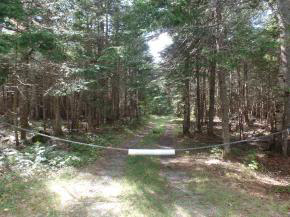 1746 Success Pond Road Gorham, NH 03581 - Photo 27 of 27 Gallery Image 27