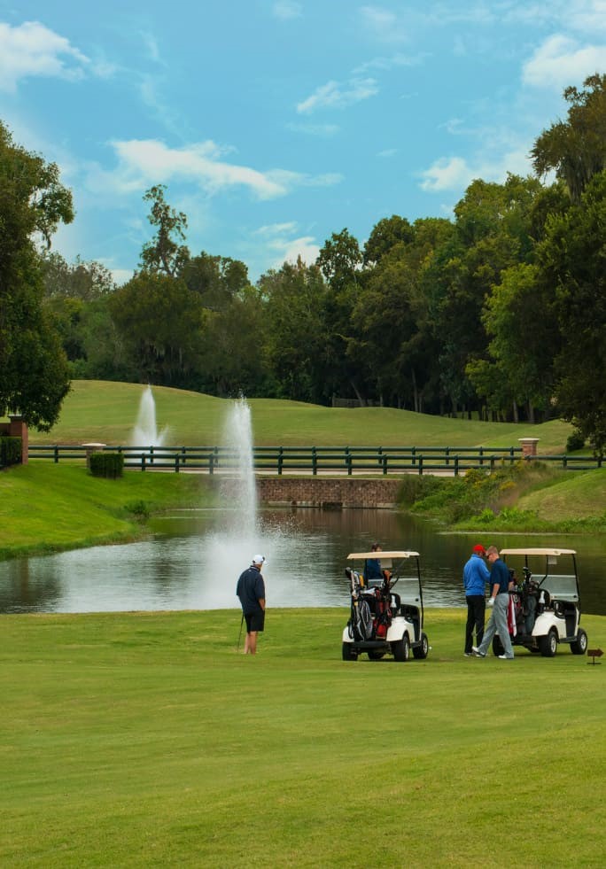 11938 Golden Cove Rosharon, TX 77583 - Photo 2 of 8 a view of a lake with houses