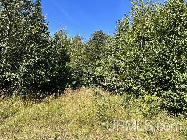 40-acres 40-acres Off Townline Road Lanse, MI 49946 - Photo 2 of 3