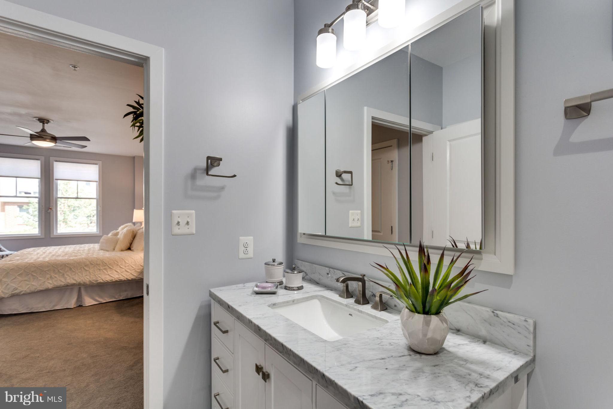 181 East Reed Avenue, Unit 109 Alexandria, VA 22305 - Photo 11 of 30 a en suite bathroom with a potted plant on the counter and sink