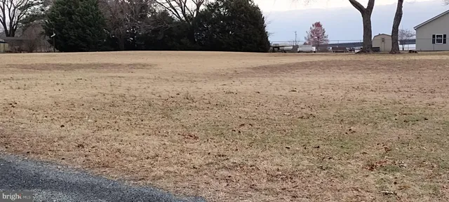 a view of an outdoor space and a yard