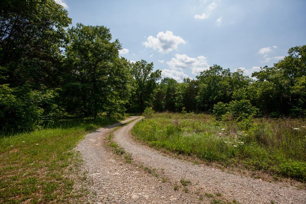 2285 Rick Hight Road Columbia, TN 38401 - Photo 15 of 19 Gallery Image 15