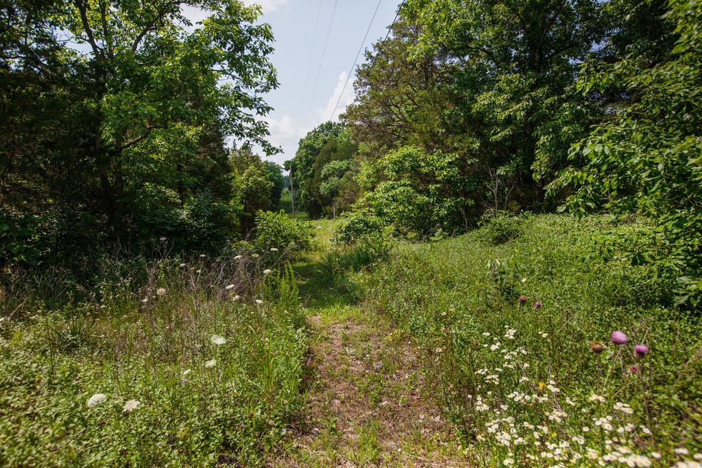2285 Rick Hight Road Columbia, TN 38401 - Photo 16 of 19 Gallery Image 16