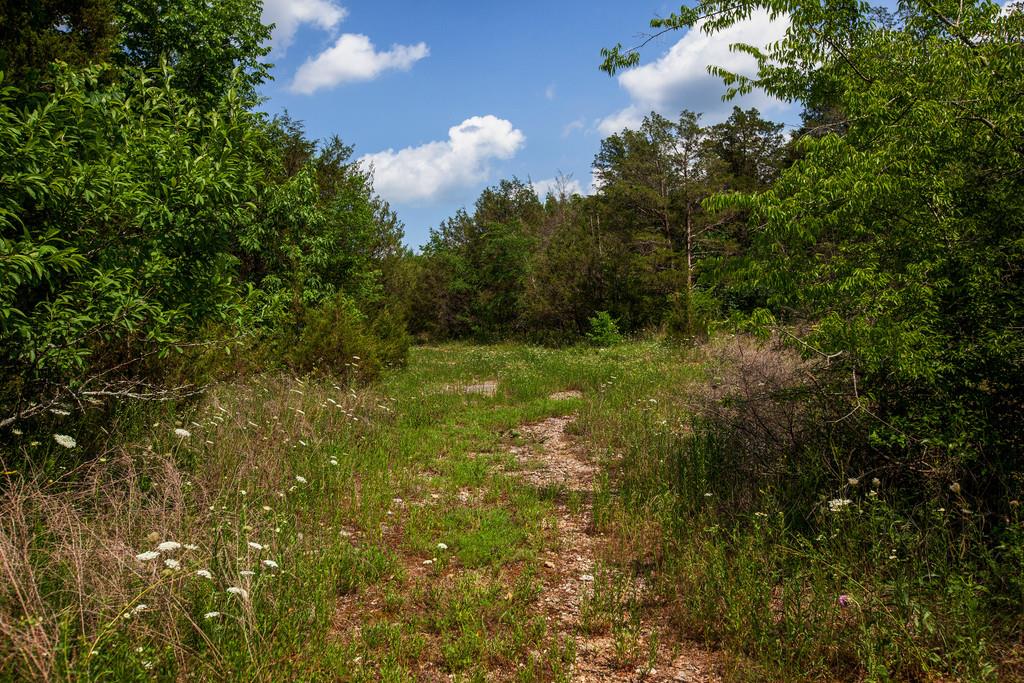 2285 Rick Hight Road Columbia, TN 38401 - Photo 18 of 19 Gallery Image 18