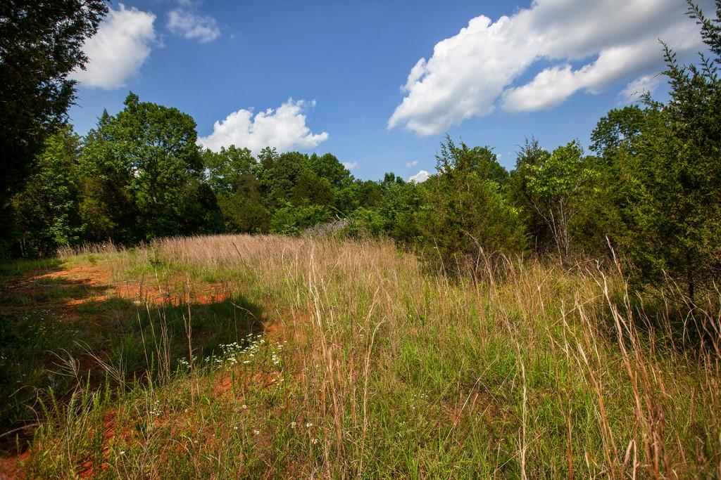 2285 Rick Hight Road Columbia, TN 38401 - Photo 19 of 19 Gallery Image 19