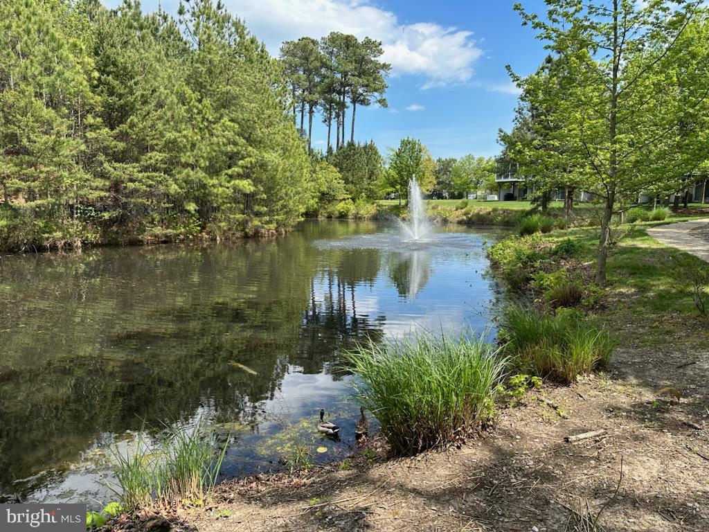 13812 Reef Way, Unit 203 Solomons, MD 20688 - Photo 35 of 45